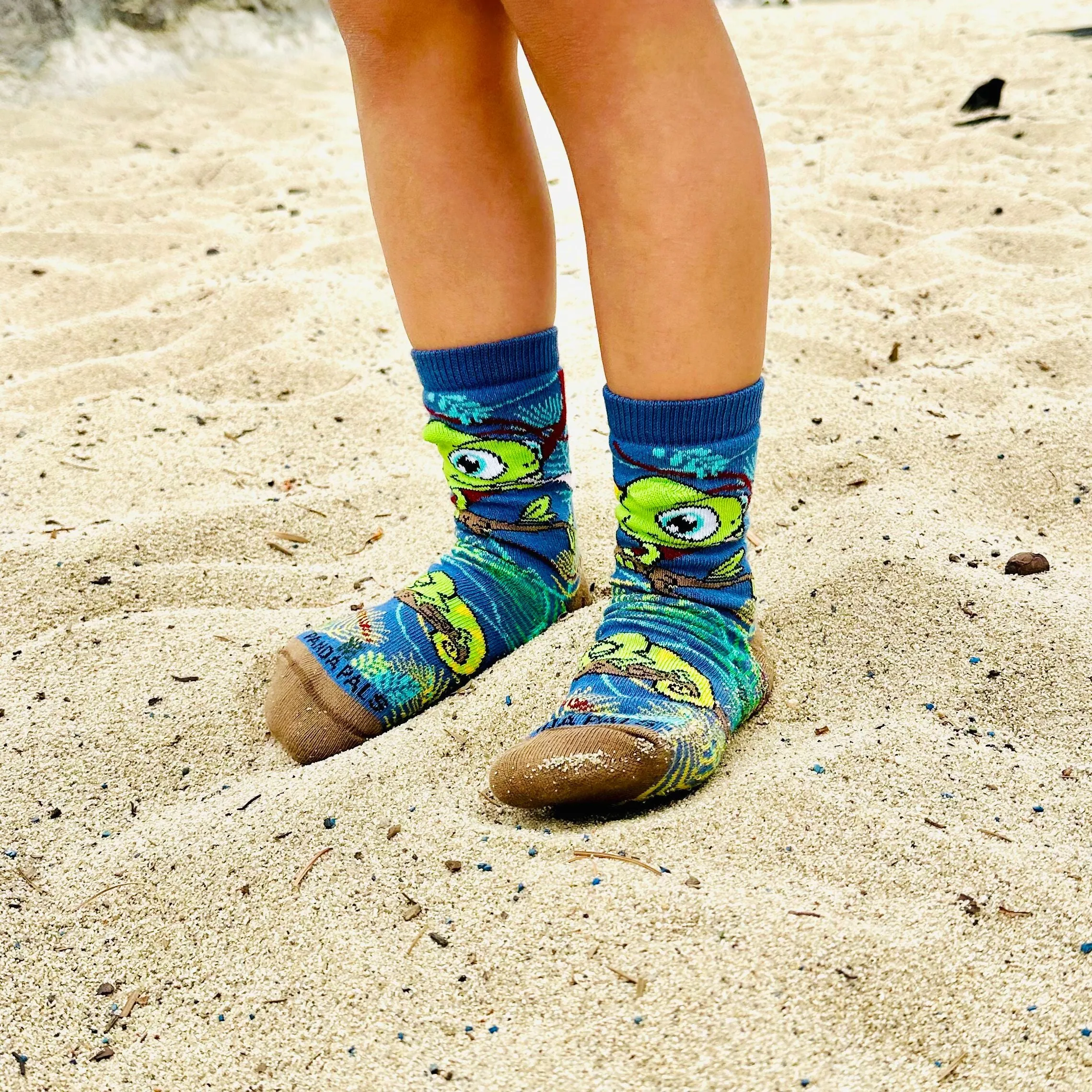 Chameleon Socks from the Sock Panda (Ages 3-7)